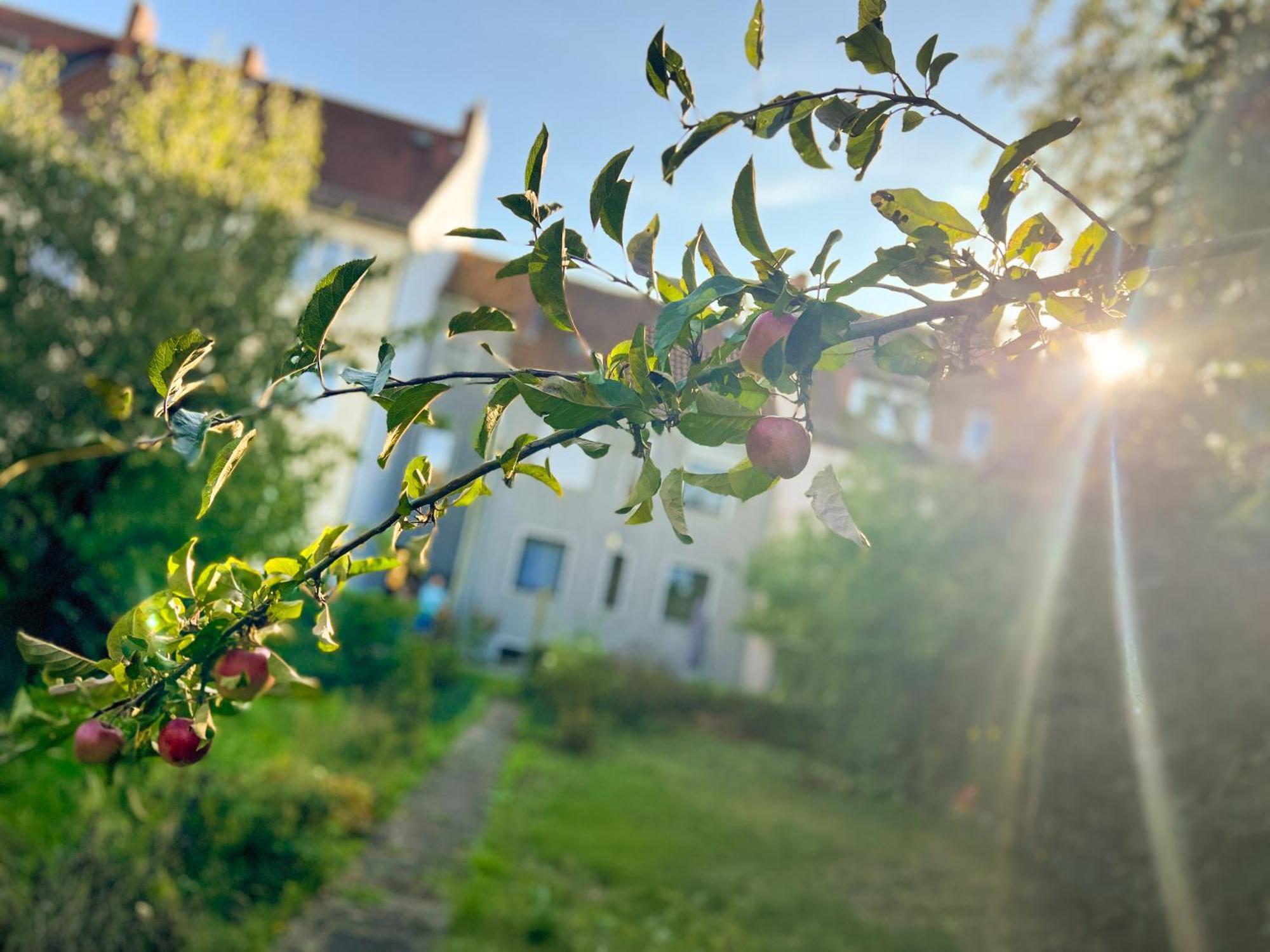 Immostay #8 - Haus Fuer 13 Personen Mit 7 Zimmer - Grosser Garten & Grill, Free Parking, Wlan BRE Exterior foto